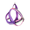 EzyDog Quickfit harness bubblegum