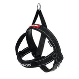 EzyDog Quickfit Harness black