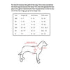 EzyDog Quickfit harness Orange